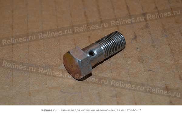 Hollow bolt