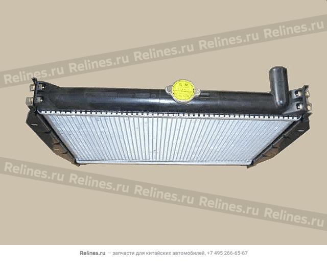 Radiator assy(Safe nose) - 13011***62-B1