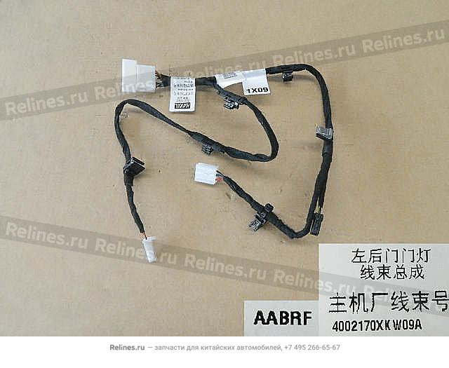 RR door lamp harness assy LH - 40021***W09A