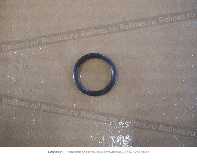 O ring-fuel injector - 1112***E02