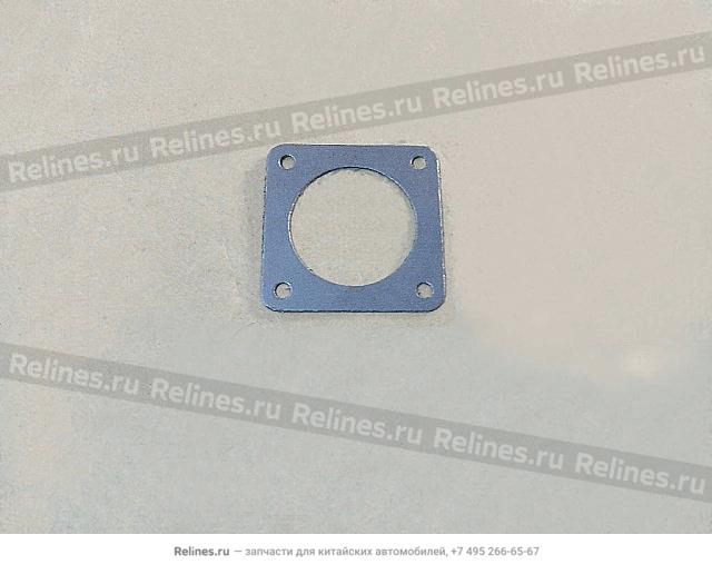 Throttle valve gasket - 100810***01-A1