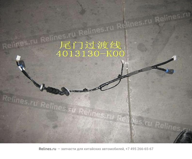 Жгут проводов двери задка - 4013***K00