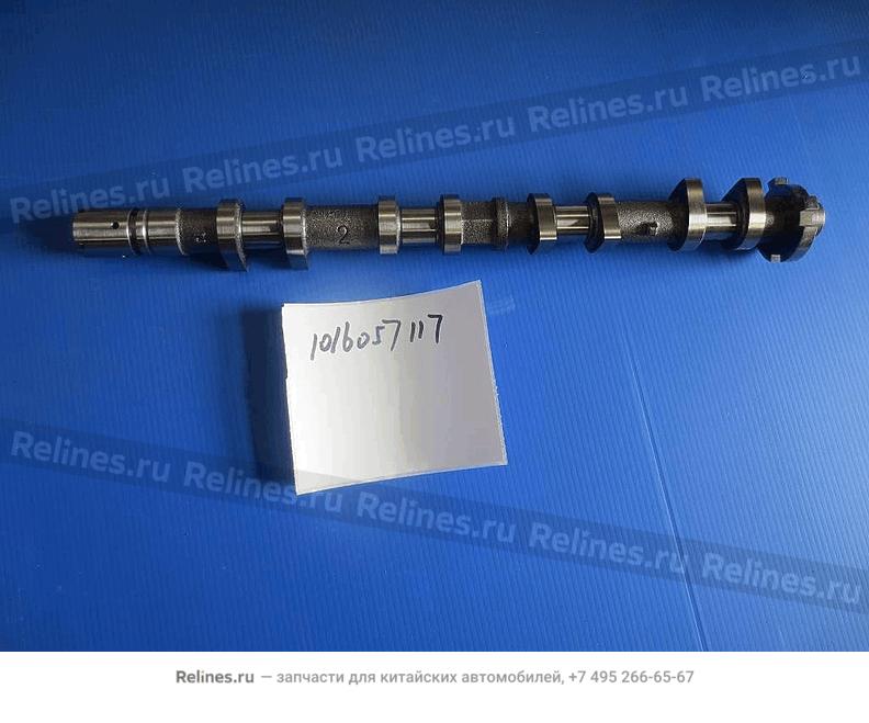 Exhaust camshaft - 101***117