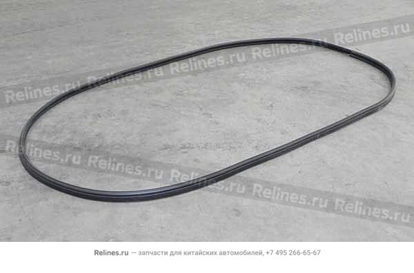 Weatherstrip - luggage - A18-***131