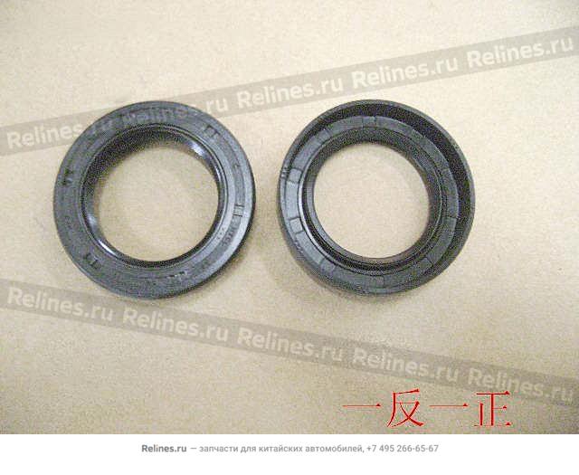 Oil seal RR body(instrustion car)