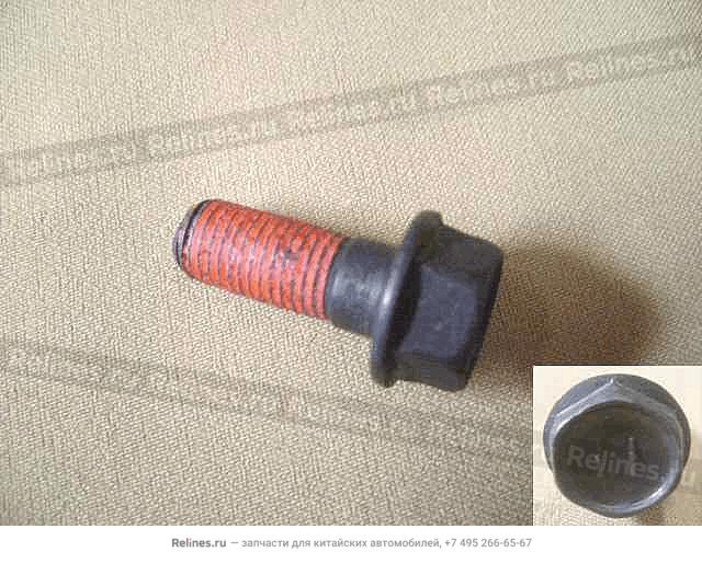 Flange screw