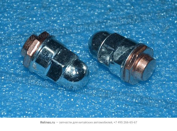 Electric bolt assy - B21-***890