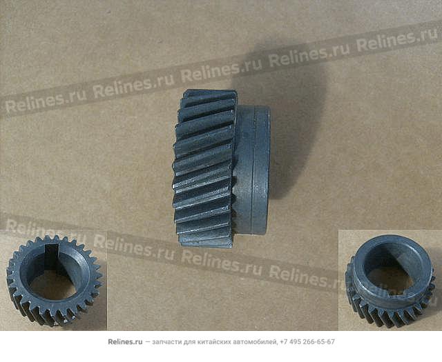 Timing gear-crankshaft - 4L88***006