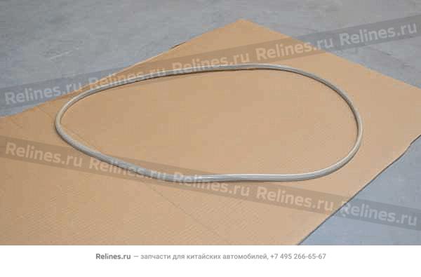 Seal strip-sunroof - T11-5***12BA