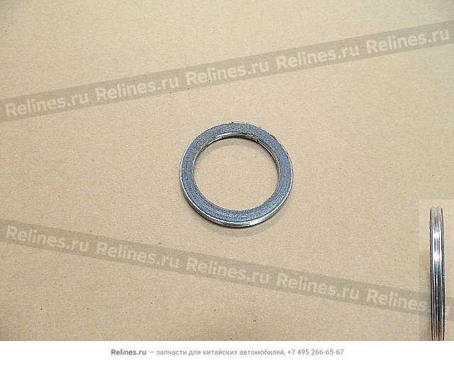 Nut-exhaust gasket - 100807***00-A1