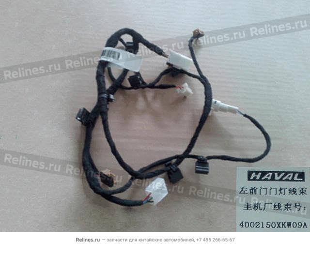 FR door lamp harness assy LH - 40021***W09A