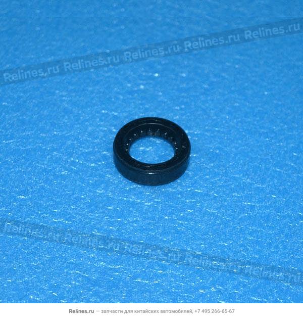 Oil seal