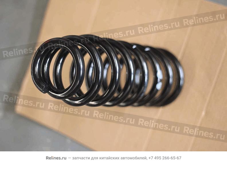 Front coil spring - 401***900