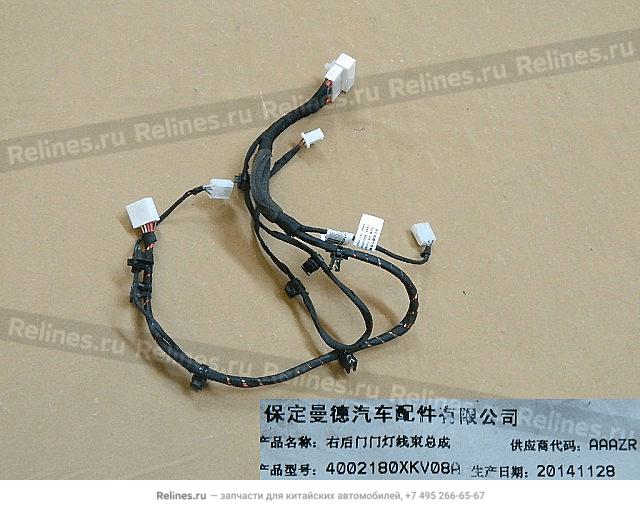 RR door lamp harness assy RH - 40021***V08A