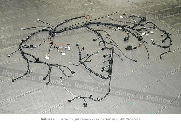 Wiring harness-fr chamber - T11-3***10WB