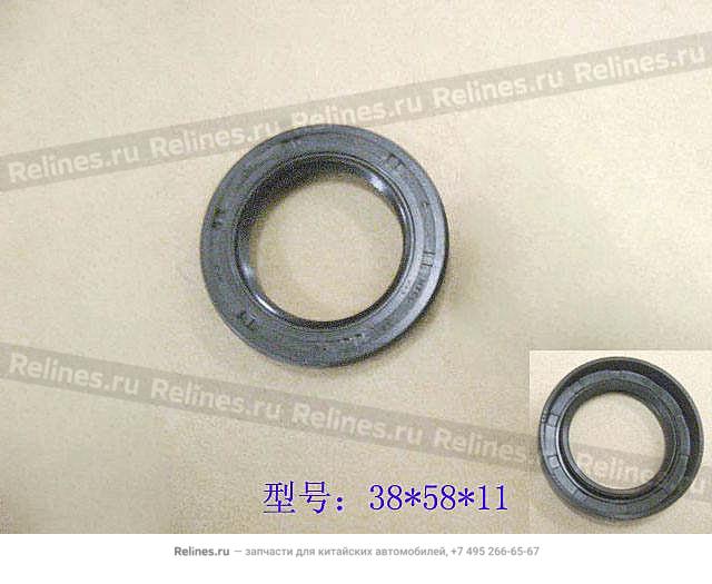 Oil seal RR body(instrustion car) - ZM001***01513