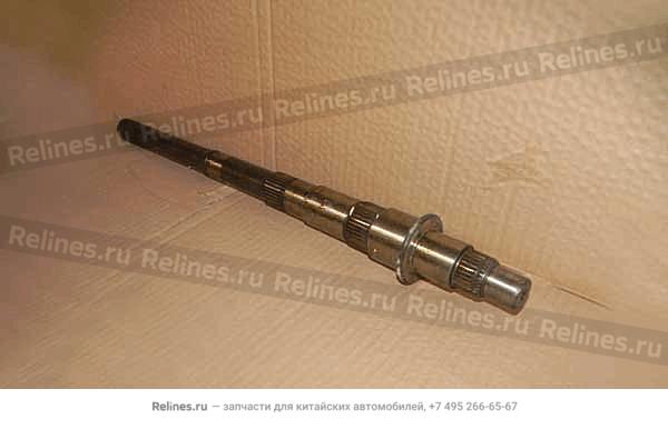 Output shaft