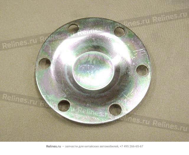 FR wheel hub cap - 3101***L00