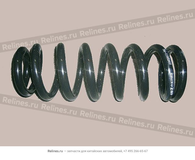 Coil spring - 2902***P01