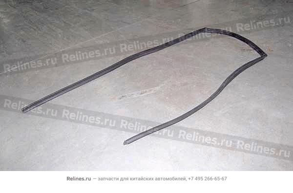 Door strip-rr door RH - T11-5***40HA