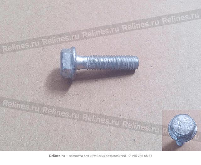 Hex bolt w/flange - 09***09