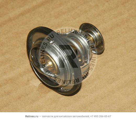 Thermostat module - 106***800