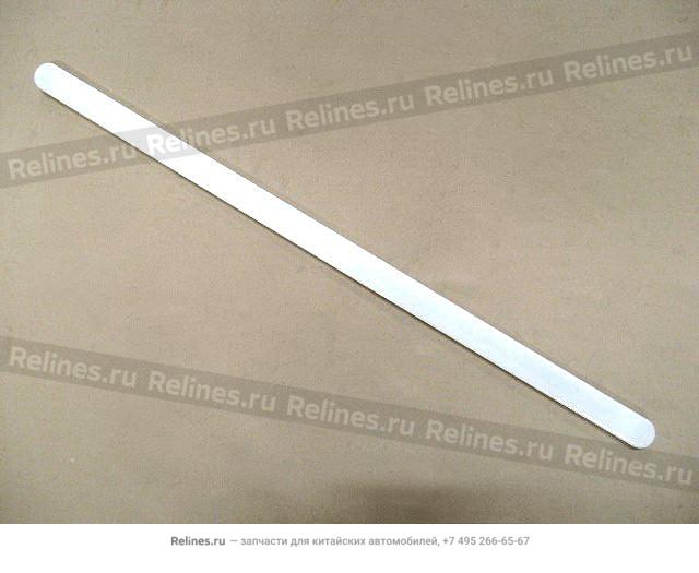 Trim strip-rr door panel RH - 5006***A04