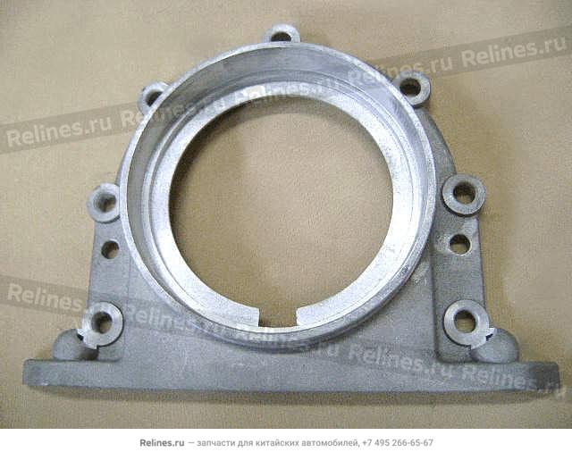 Cover-rr oil seal - 1005***4L68