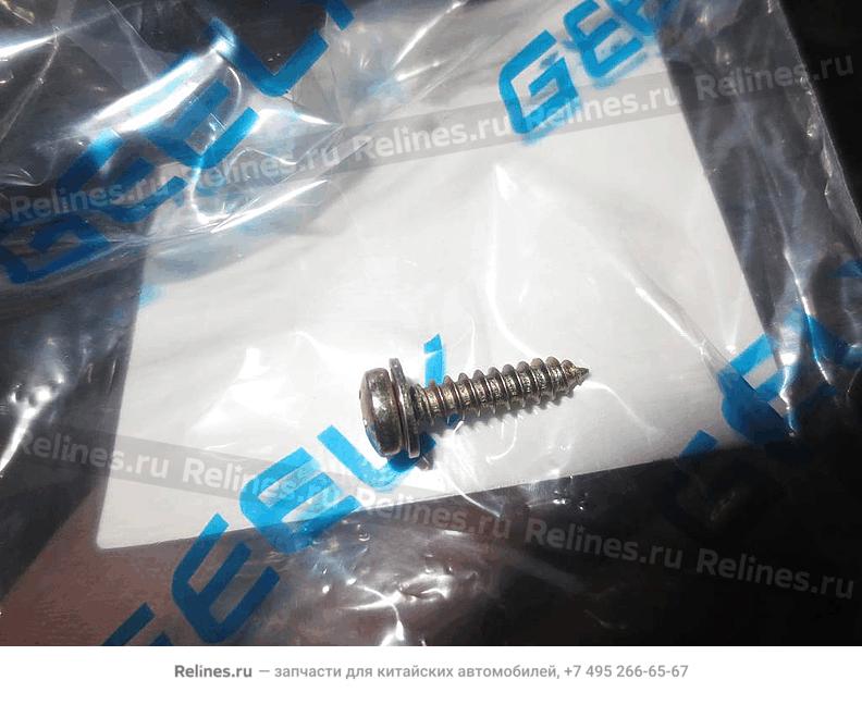 Cross slotted head screw & plain washer - Q2***19