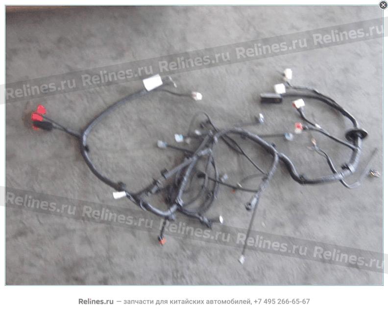 Engine wire harness assy - 1067***6801