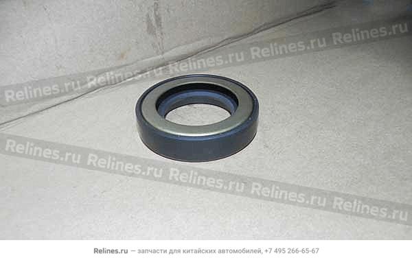 RR half-axle oil seal