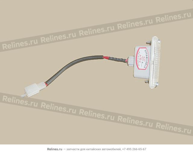 Door lamp assy(Sing b) - 4131***A05