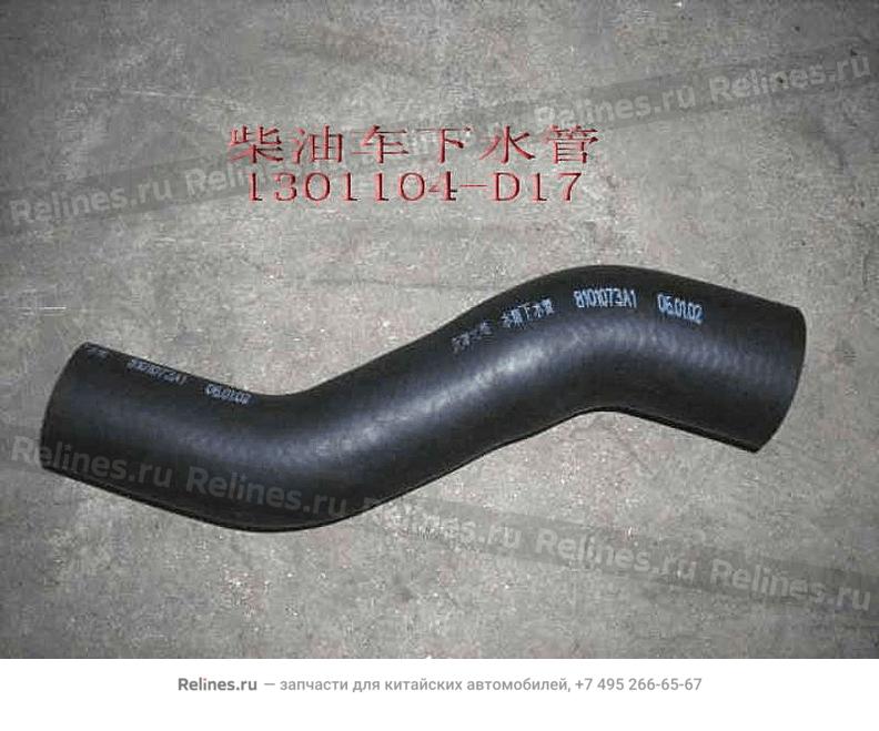 Radiator LWR hose