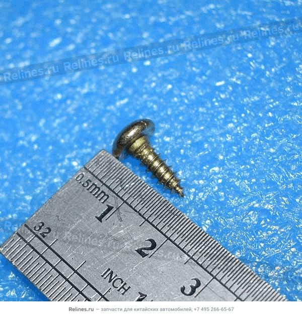 Tapping screw - J69-***019