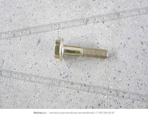 Throttle bolt