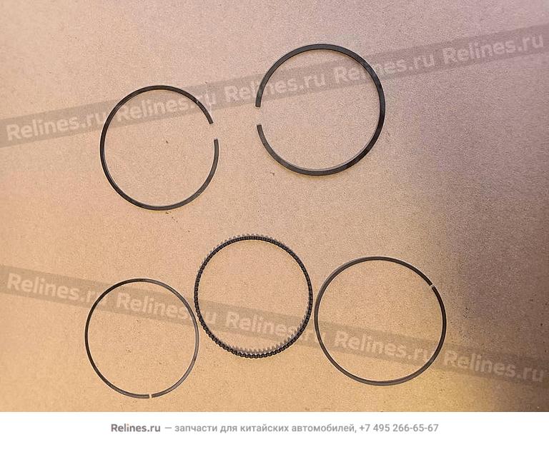 Piston ring module