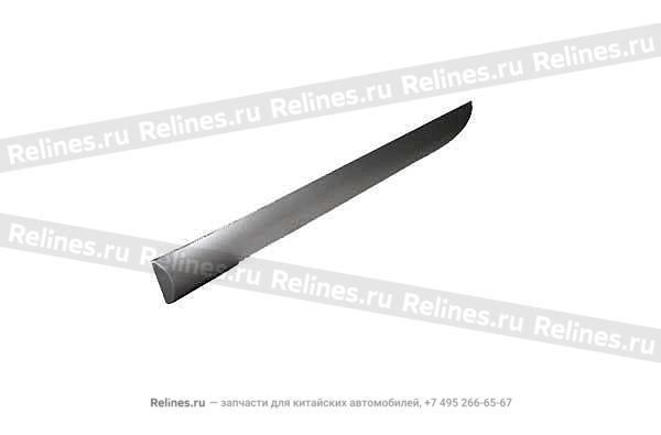 RH trim strip - T11-***023