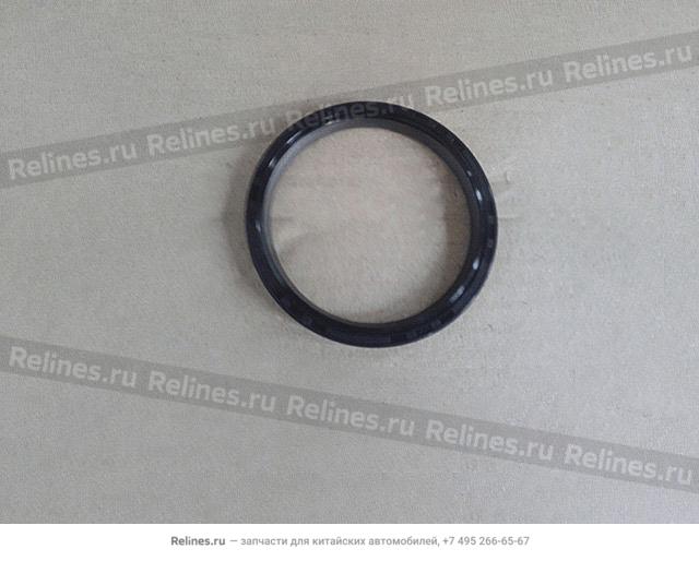 Rub seal ring