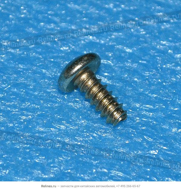 Screw - T21-***022