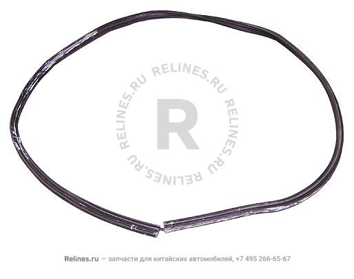 Weatherstrip - RR door RH