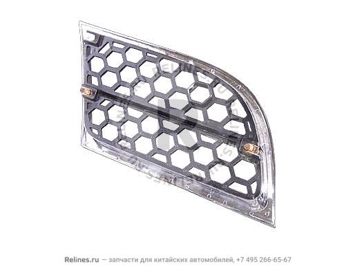 Radiator grilla-rh