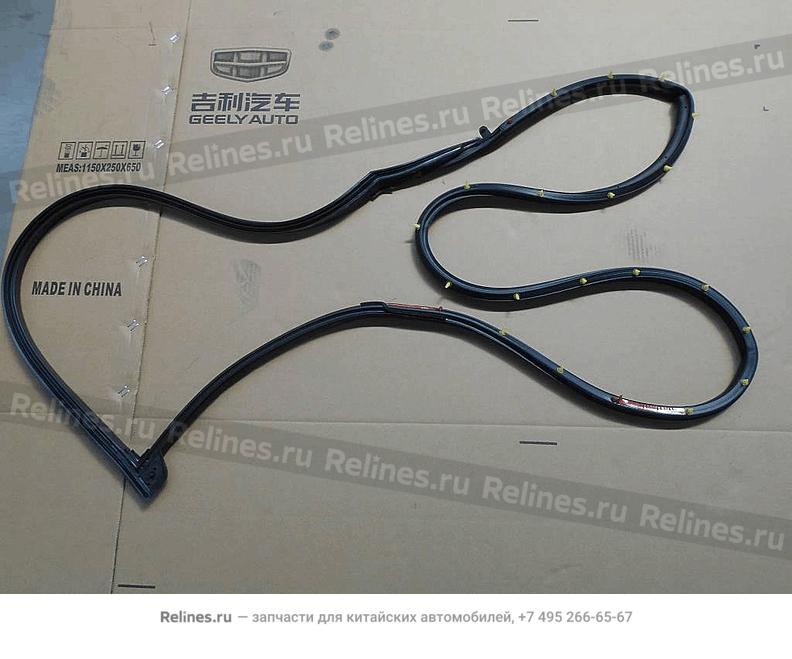 Assy,RF door weatherstrip - 507***100