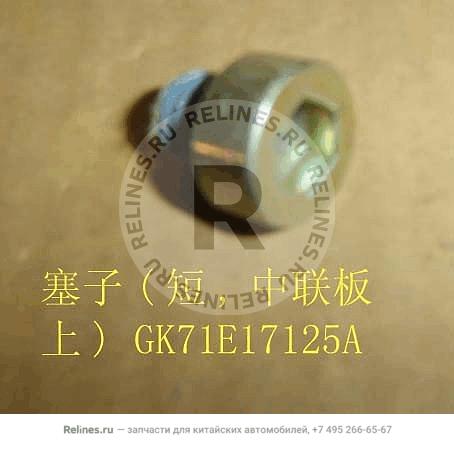 Screw plug(short intermediate panel) - GK71***25A