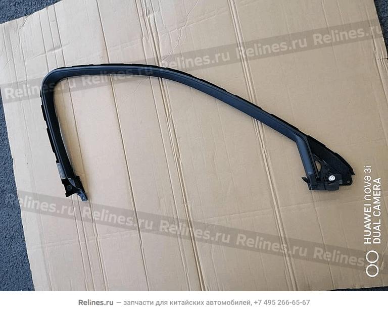 Strip assy-rh frt door frame trim - 604***600