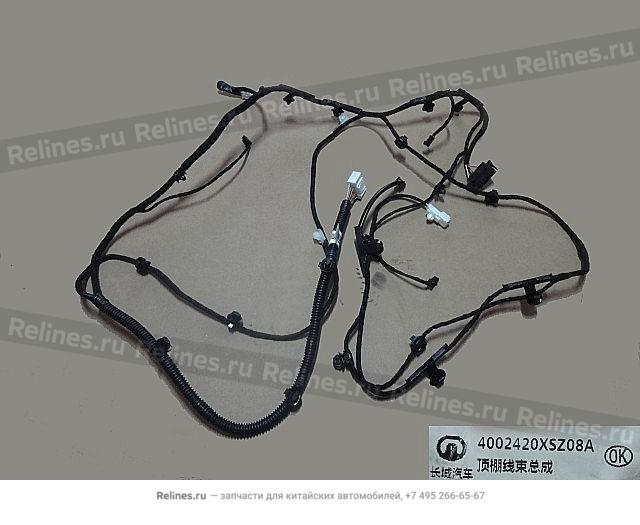 Roof harness assy - 40024***Z08A