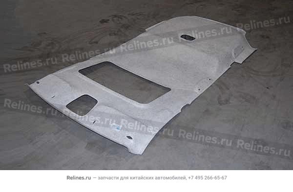 Roof panel assy