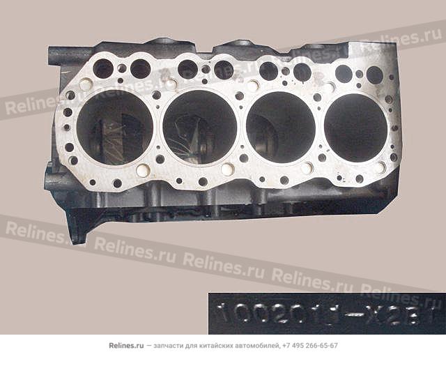 Cylinder block - 10021***01-P