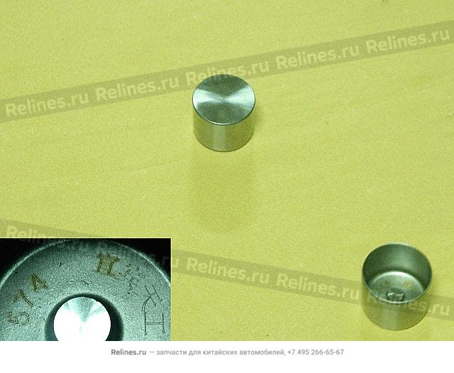 Valve tappet(group:74) - 100701***01-74