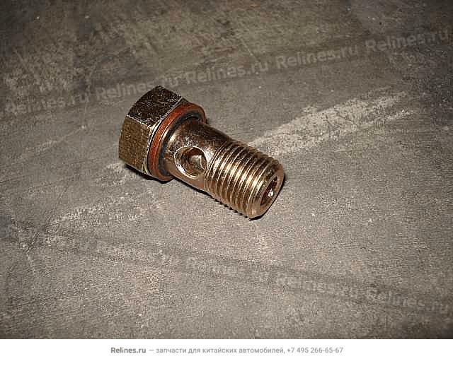 Hollow bolt