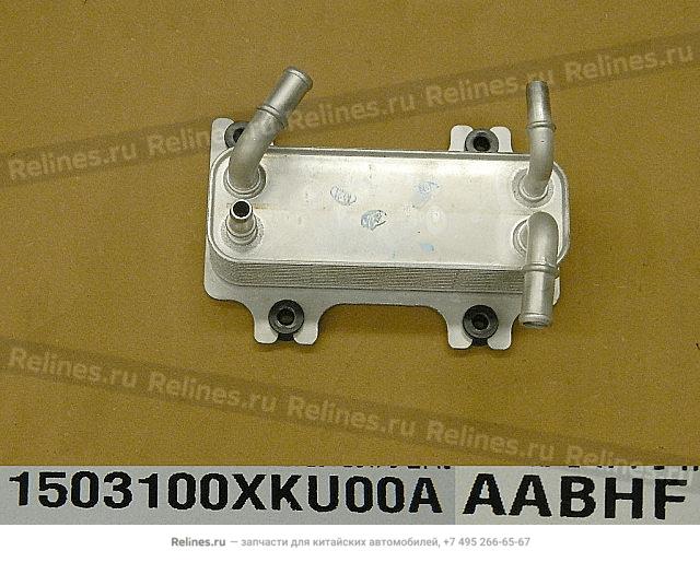 Oil cooler assy - 15031***U00A